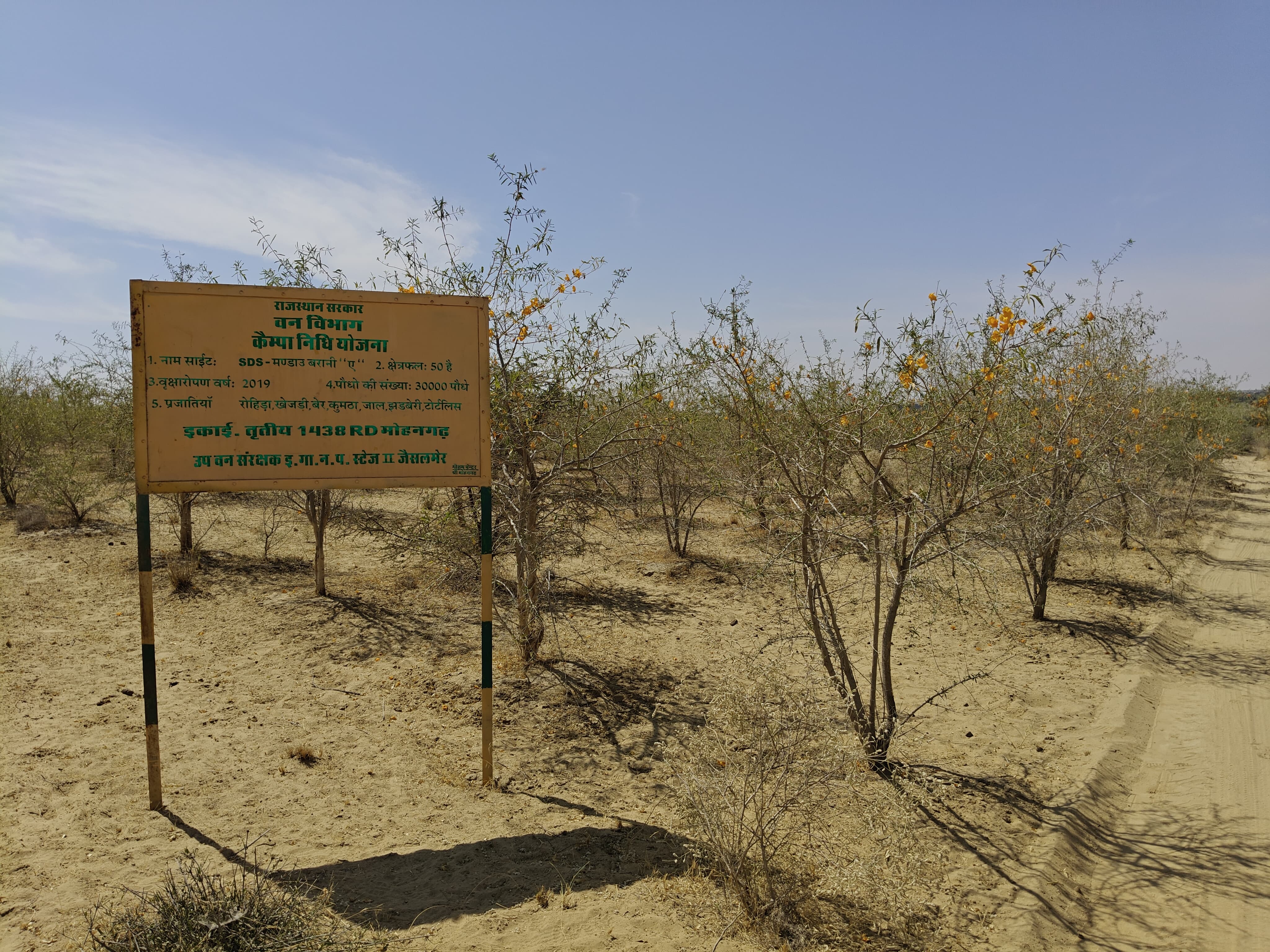 Compensatory Afforestation